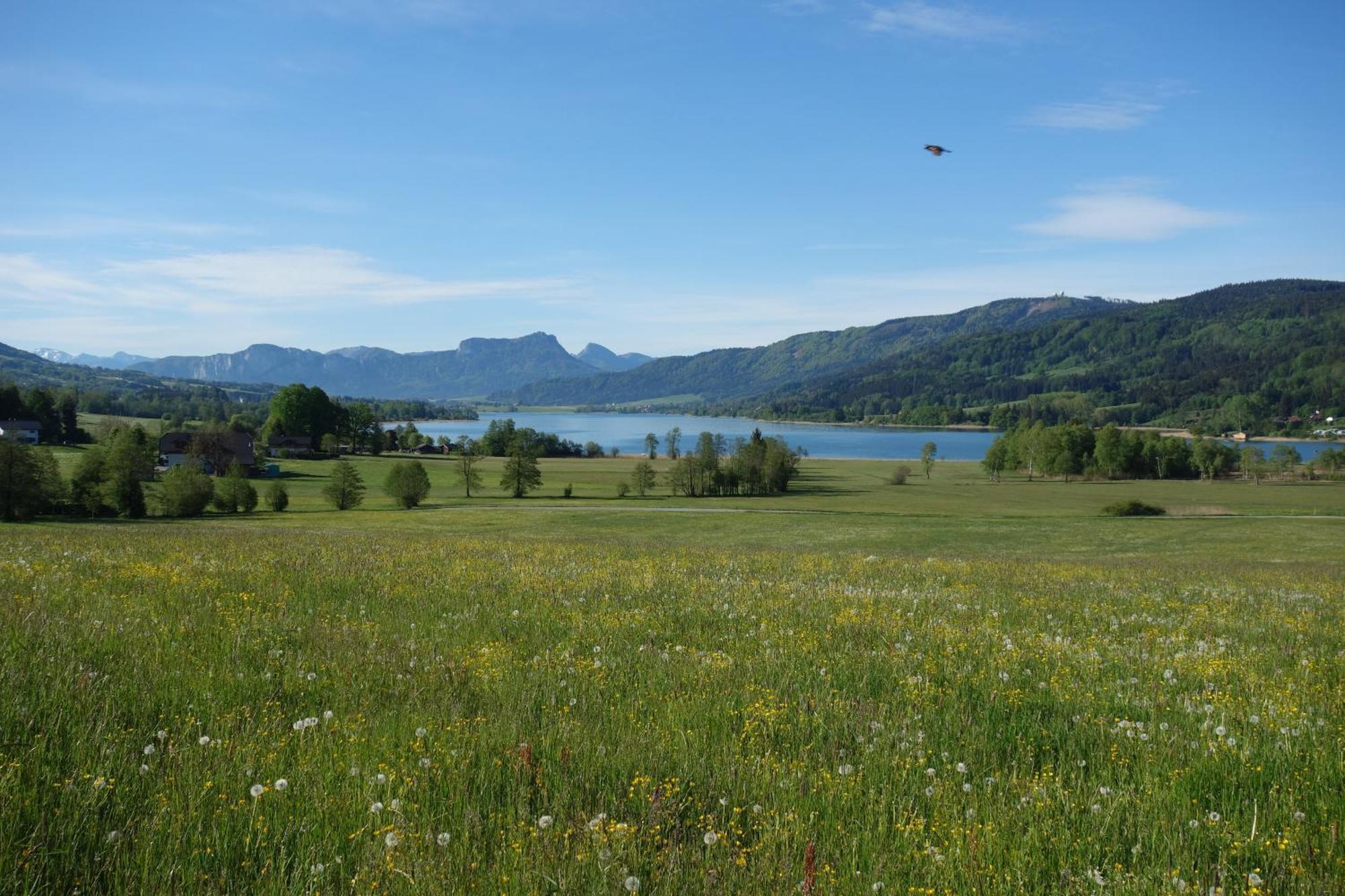 Villa Sunnhof Oberhofen am Irrsee Esterno foto